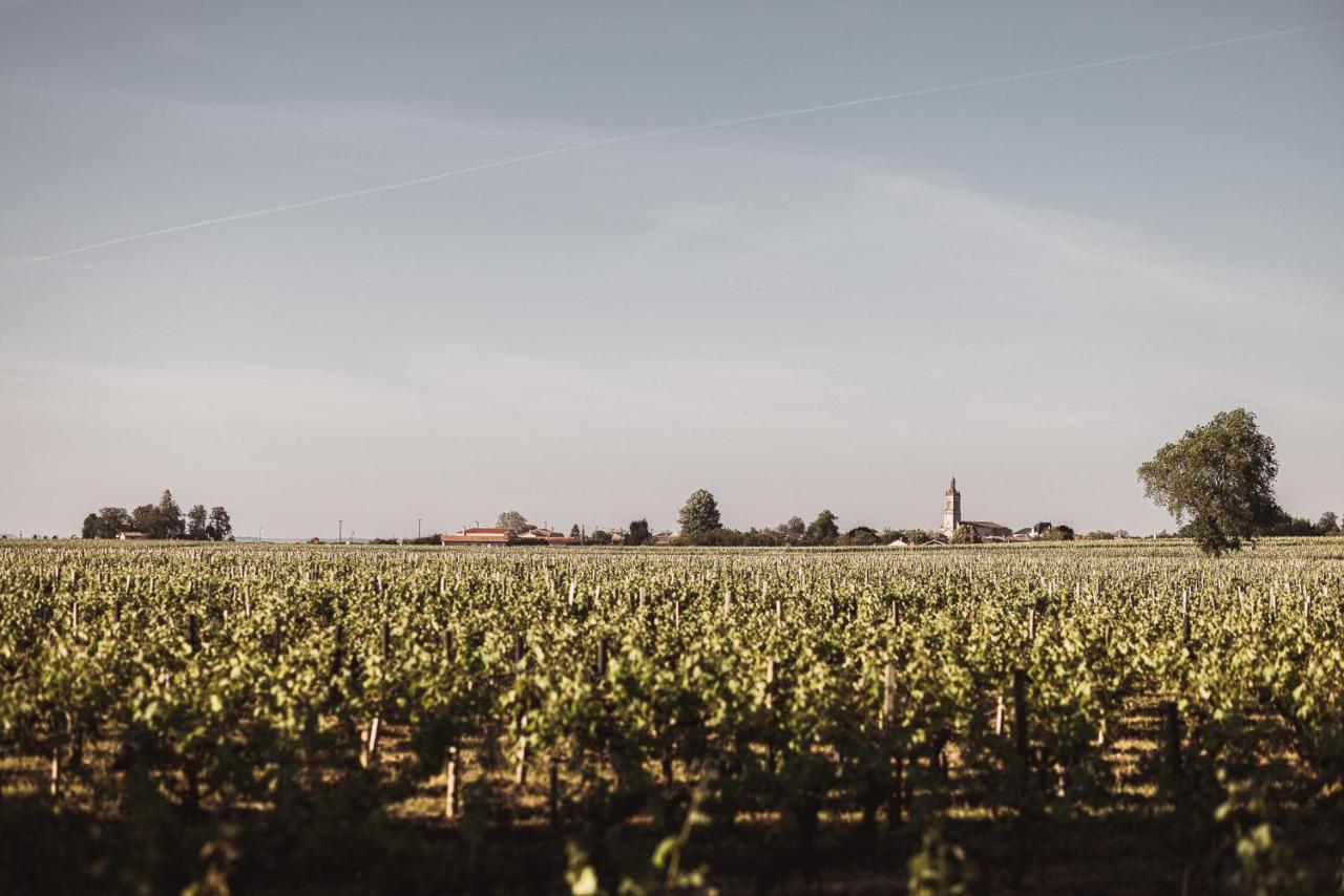Chateau Laffitte Carcasset Saint-Estephe  Exterior photo